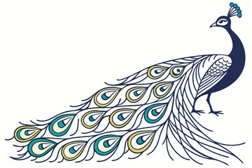 Obraz premium peacock on white background