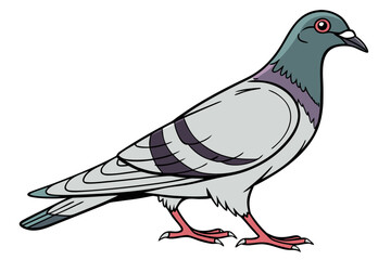 vector illustration of a dove