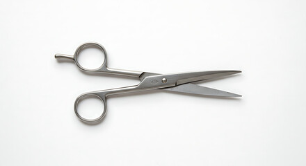 Obraz premium Precision Cutting: A Detailed Look at Silver Surgical Scissors Against a Clean White Backdrop, Ideal for Medical and Scientific Visualizations
