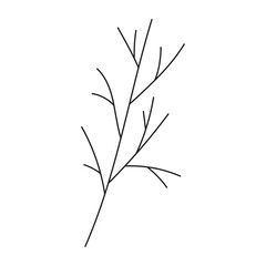 Doodle illustration of branch