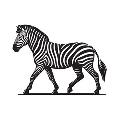 Fototapeta premium zebra vector illustration