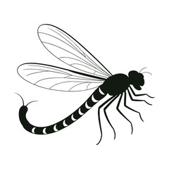 Elegant silhouette of a dragonfly with intricate wing details on a white background