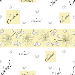 Chestnut. Vector background. Autumn tree leaves with fruits. Linear plant template. Seamless pattern 