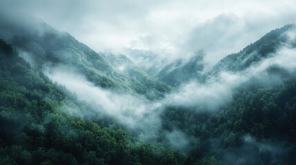 Misty green mountain landscape covered with lush forests and fog rolling through the valleys creating a serene and atmospheric natural scenery