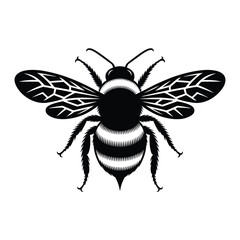 Detailed black and white illustration of a bumblebee in flight