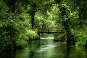 Calm flowing river beneath a wooden bridge nestled in the lush greenery of a forest. Peaceful scene, nature's tranquility