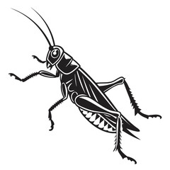 grasshopper isolated on white background