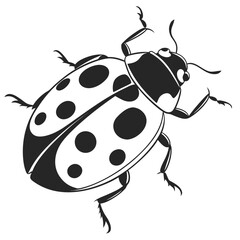 ladybird vector illustration