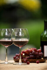 Two glasses of Red