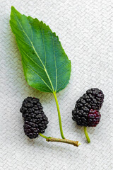 Fresh Black Mulberries with Green Leaf on Light Textured Background