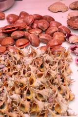 Malaga, Andalusia, Spain. 4 September 2025. Display of seafood and tapas at Atarazanas market