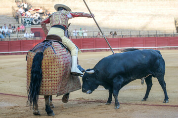 Picador engages bull at Real Maestranza Bullring in Seville, Spain