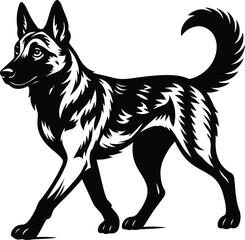 Elegant Belgian Malinois Guard dog Silhouette