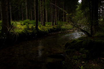 Stimmungsvolle Waldszene mit Bachlauf, Sonnenlicht fällt zwischen die Bäume und erzeugt ein...