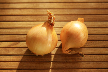 Two golden onions on wooden table. Fresh vegetables with dry skin in natural sunlight. Rustic kitchen background. Organic healthy ingredient for cooking. Natural farm harvest concept closeup.