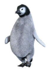 3D Rendering Emperor Penguin Baby on White