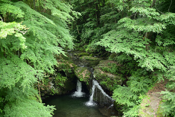 緑の中を流れる滝（風布川 夫婦滝）
