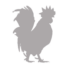 Grey rooster silhouette on a black background silhouette