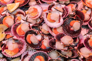 Atarazanas market, Malaga, Andalusia, Spain. 4 September 2025. Fresh scallops on display with lemon wedges.