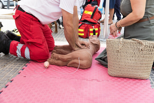 Veterinarian Training Demonstration Using Dog CPR Mannequin for First Aid and Emergency Pet Resuscitation on Outdoor Event with Instructors and Participants