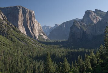 Majestic valley vista with towering granite cliffs, lush green forest floor, under a clear blue sky. Breathtaking natural scenery