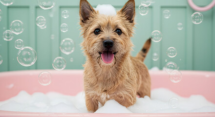 Bubble Bliss: Wet Pup in Pink Tub &ndash; Playful Pet Grooming Moment