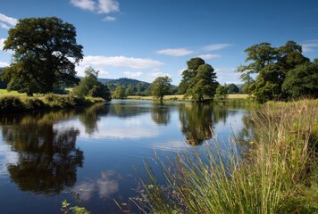 Scenic landscape water reflects the sky & trees; tall grass at edge. Mountains beyond. A serene, tranquil scene on a sunny day