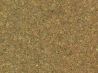 Abstract textured surface with earthy tones and granular details.