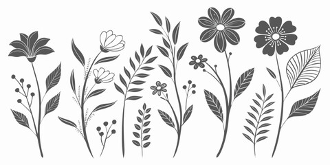 Botanical Illustration of Flowers and Foliage A Delicate and Timeless Decorative Design Perfect for Various Creative Projects