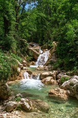 Fototapeta premium Lush forest scene with a cascading waterfall flowing down rocky terrain into a clear, shallow pool under a canopy of vibrant green trees