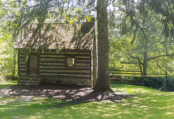 county cabin a.i.