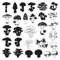 Collection of diverse mushroom illustrations in various colors and styles