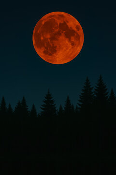 An orange moon illuminates the night sky above tall pine trees in a serene forest setting