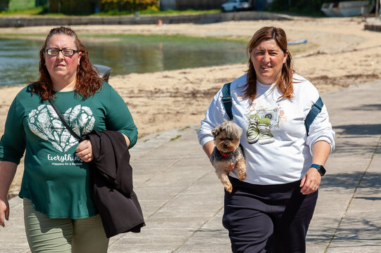 Two girls, walking along the beach with their Yorkshire Terrier