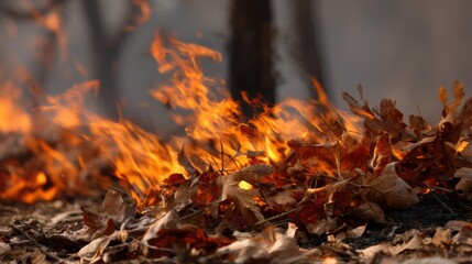 Burning leaves create vivid display of flames in forest setting, showcasing destructive beauty of wildfire. dry foliage ignites, highlighting intense heat and dynamic movement of fire