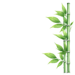 Fototapeta premium Lush Green Bamboo Stalks Against a Bright Background for Nature Lovers