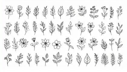 Obraz premium A versatile collection of elegant hand-sketched floral elements, perfect for nature-inspired graphic design projects, emphasizing organic beauty and artistic concepts