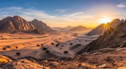 Naklejka premium Sunrise over the Wadi Rum desert in Jordan, Middle East.