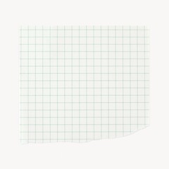 Green torn grid paper note, stationery design