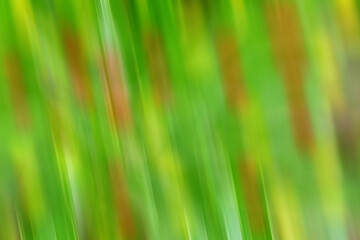 A green background with a green line in the middle