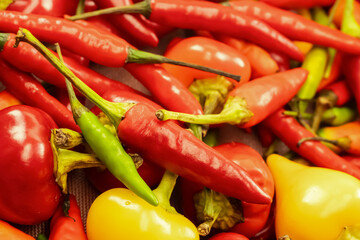 The peppers are of different sizes and colors, creating a vibrant and colorful display. Concept of abundance and variety