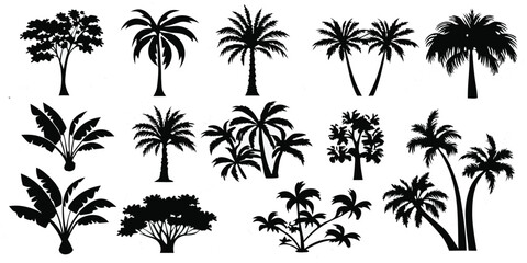 A Variety of Tropical Trees Silhouetted Against a White Background Bringing a Sense of Warmth and Exoticism