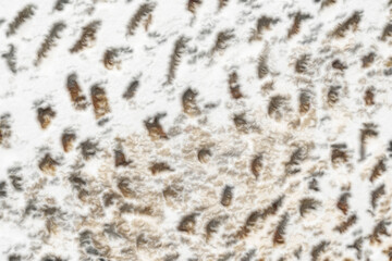 The wall has a textured surface with many small holes and indentations.