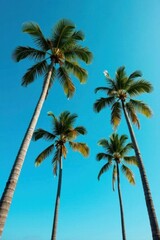 Tall coconut palms against a vibrant blue sky, design, clear, clouds