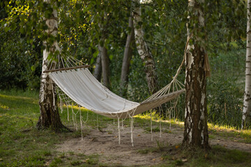 White hammock hanging between birch trees in peaceful forest meadow with soft sunlight, symbolizing relaxation, solitude, harmony with nature, quiet rest, summer atmosphere and slow lifestyle