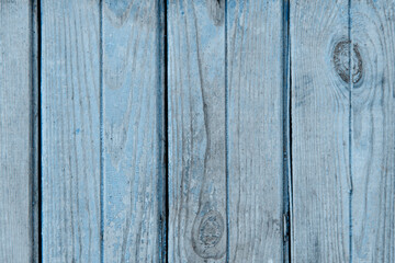 Fototapeta premium Blue Haze Trend. Blue Haze Color. Blue Haze. Blue Haze Texture. Design Art. Wood Texture Tinted in Blue. Wood Texture