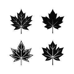 Four maple leaf icons arranged on a white background