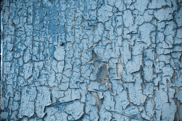 Blue Haze Trend. Blue Haze Color. Blue Haze. Blue Haze Texture. Design Art. Wood Texture Tinted in Blue. Wood Texture