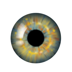 Human eye iris close up shot isolated on a white background png, transparent background 