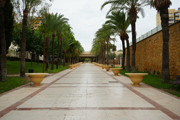 Obraz premium Benidorm, Spain – September 7 2025: Scenic view of a palm tree promenade in an urban park on an overcast day